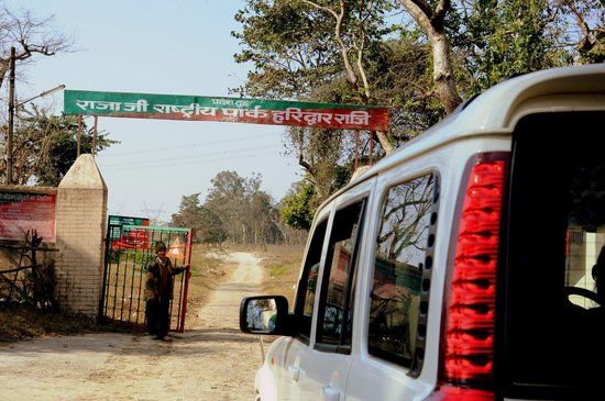 Rajaji National Park